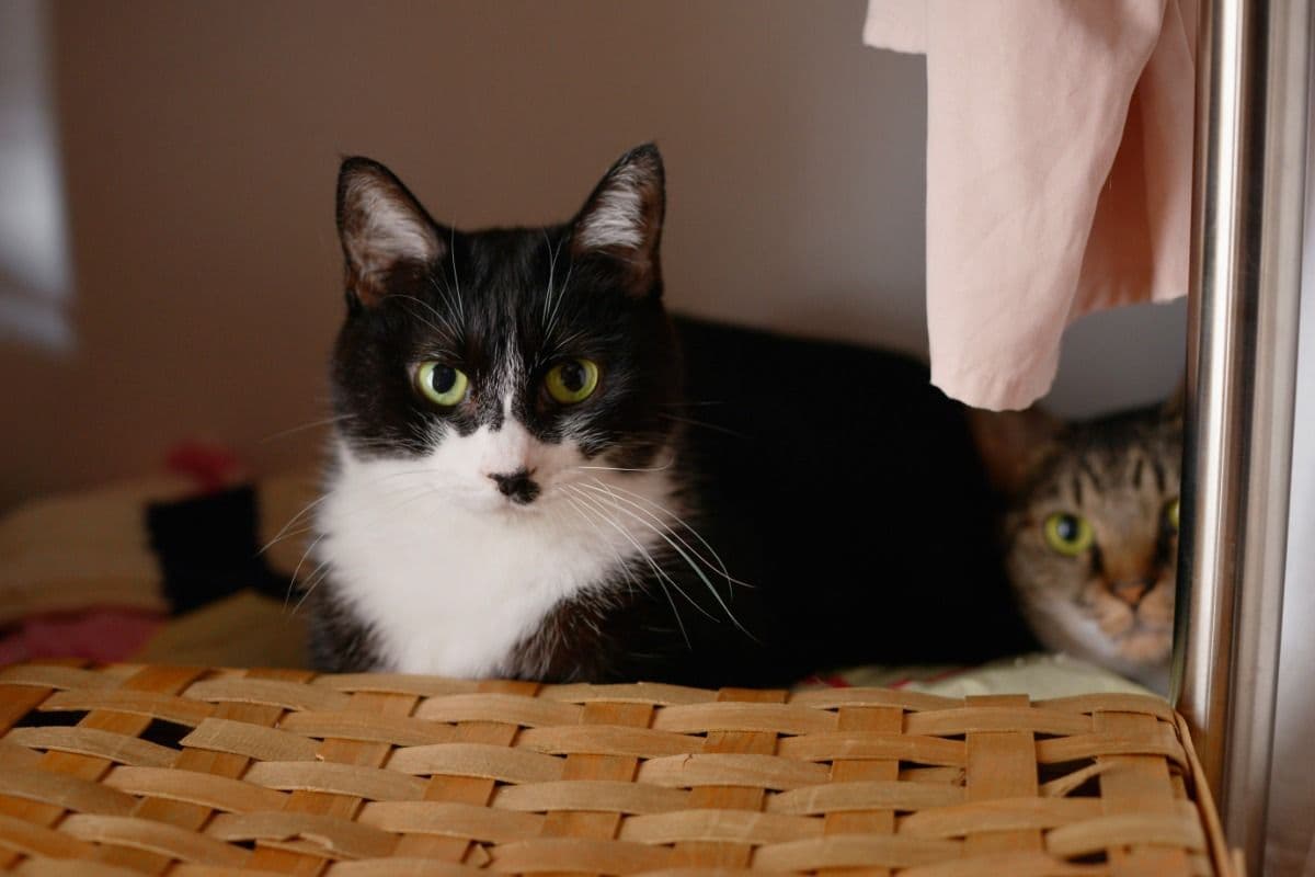 中古マンションのリノベーション後の団地の原風景